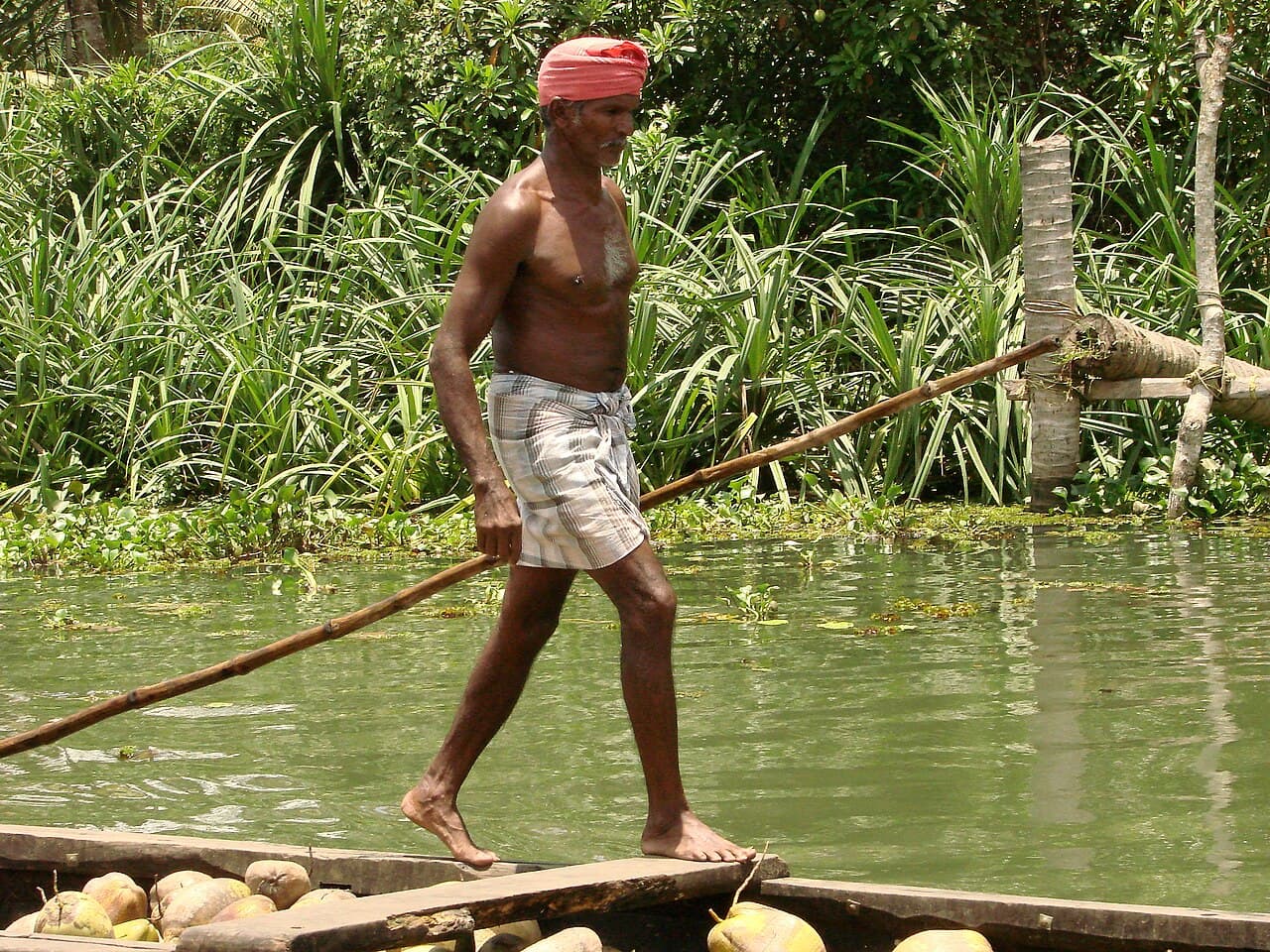 A boatman poling a country boat through the backwaters