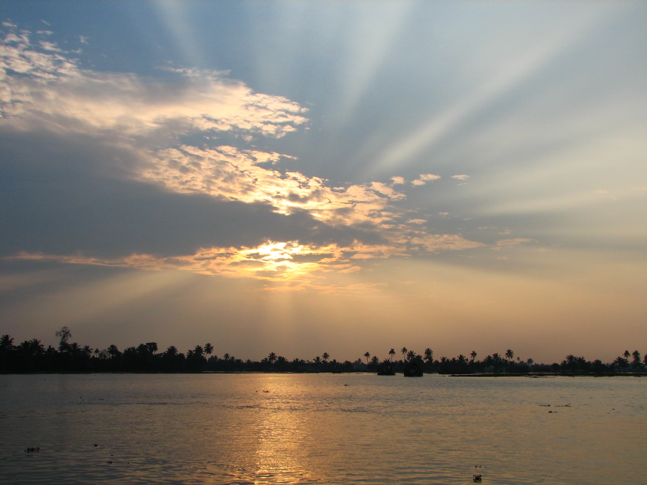 Sunset over the Kerala backwaters framed by coconut palms