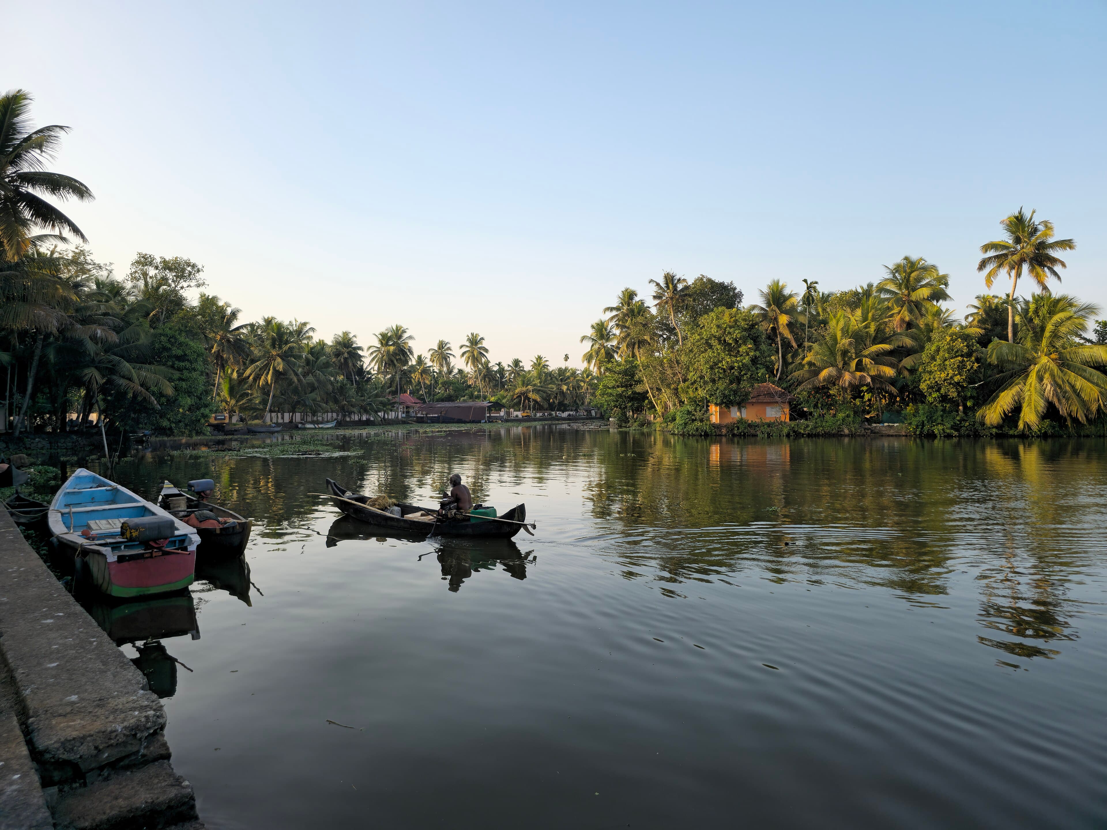 Coconut palms leaning over the Kumarakom backwaters